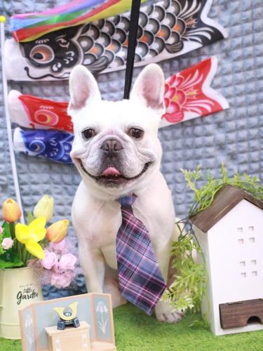 20230502ブーくん